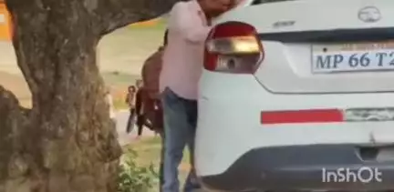 प्रतापपुर: शिवपुर में तेज रफ्तार कार अनियंत्रित होकर दुर्घटनाग्रस्त, हादसे में कोई हताहत नहीं