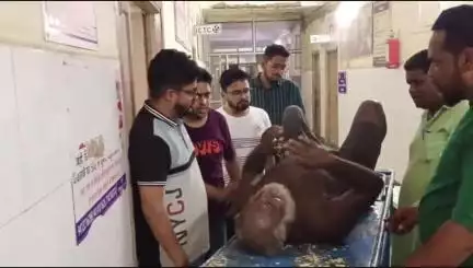 बांसवाड़ा: राज तालाब की पाल से अज्ञात वृद्ध गिर गए, स्थानीय लोगों ने उन्हें निकालकर एमजीएच पहुंचाया