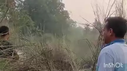 परसा: प्रताप छपरा और चैनपुर गांव के जंगल में भीषण आग, ग्रामीणों व प्रशासन ने टली बड़ी घटना