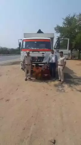 सांगानेर: दवाई की आड़ में गांजा लेकर आ रहे ट्रक को पकड़ा, चाकसू और शिवदासपुरा इलाके में आरोपियों को किया गिरफ्तार