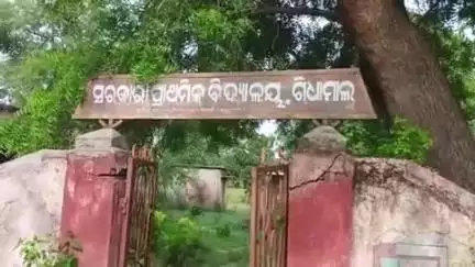 ନର୍ଲା: ସାତ ଦିନ ପରେ ଶେଷ ହେଲା ଗିଧାମାଲ୍ ଗାଁର ଗୋଚର ଓ ଅନାବାଦୀ ଜମି ଚିହ୍ନଟ ପ୍ରକ୍ରିୟା