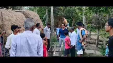 পিংলা: সাঁতই এলাকায় বানরকে ধরতে পাতা হোলো খাঁচা,তবে শুক্রবার বিকেল পর্যন্ত বিফল বন দপ্তর