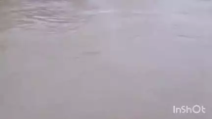 रिसोड: चुकीच्या पद्धतीने बांधण्यात आलेल्या नाल्याचे खोलीकरण करण्याची शेतकऱ्याची मागणी तहसीलदार यांना निवेदन सादर
