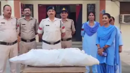 पन्ना: पन्ना में खेत के पीछे उगाए जा रहे गांजे के पेड़, पुलिस ने ₹60 हजार की नशीली फसल जब्त की, एक गिरफ्तार