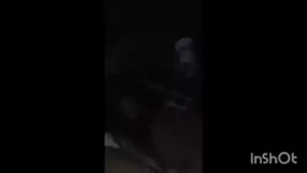 मीरगंज: परचई गांव में हाई टेंशन करंट का कहर, खेत से लौटते वक्त गिरी बिजली लाइन से दो बैल झुलसकर मरे