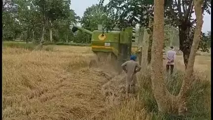 तुमसर: हसारा तलावा जवळून २० लाखांची हार्वेस्टर मशीन गेली चोरीला