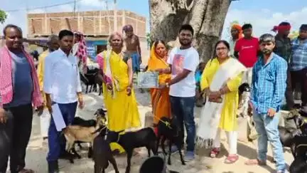 दुलमी: पंचायत सचिवालय कुल्ही में मुख्यमंत्री पशुधन योजना के तहत बकरी वितरण कार्यक्रम आयोजित