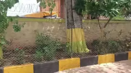 कळवण: नांदूरी अभोणा रस्त्यावर कुंडाणे शिवारात मोटरसायकल छोटा हत्ती अपघातात एक जण ठार अभोणा पोलिसात गुन्हा