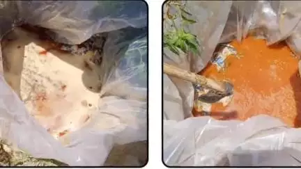सासाराम: सासाराम के सीता बिगहा में अवैध महुआ पास को किया गया नष्ट