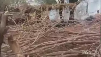 अरैन: अराई कस्बा क्षेत्र के ढसुक गांव में दो बाड़ों में लगी आग ने विकराल रूप लिया, आगजनी में लाखों रुपये का हुआ नुकसान