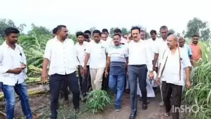 जामनेर: पळासखेडा मिराचे येथे मंत्री गिरीश महाजन यांची भेट,पावसामुळे झालेल्या शेती नुकसानीची केली पाहणी,तात्काळ मदतीचे आदेश.