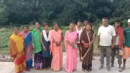गोला: गोला के गोमती नदी पर फैला जलकुंभी का जाल, नदी प्रदूषित होने से लोगों के लिए हुआ बेकार#jansamasya