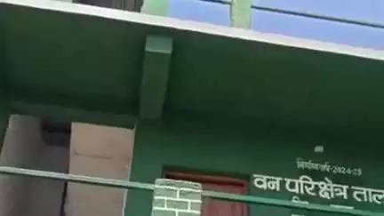 मानपुर: बांधवगढ़ टाइगर रिजर्व में जंगली हाथियों से बचाव के लिए बना एलीफेंट प्रूफ सुरक्षा कैंप