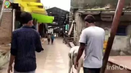 कर्वी: परिक्रमा मार्ग पर स्थित लक्ष्मण पहाड़ी, जहां भाई लक्ष्मण ने रहकर राम की रक्षा की