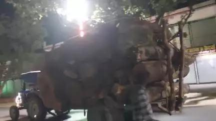 सिराथू: लेहदरी रोड़ से ट्रैक्टरों पर लादकर भारी मात्रा में खतरनाक तरह से ले जाई जाने वाली लकड़ियों से आमलोगों को खतरा #jansamasya