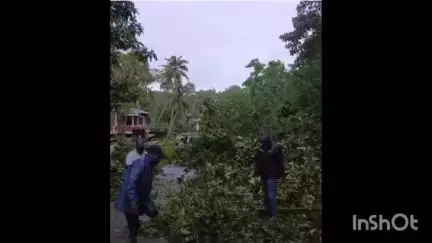 തിരുവനന്തപുരം: പോത്തൻകോട് പോലീസ് സ്റ്റേഷന് സമീപം ശക്തമായ കാറ്റിൽ മരങ്ങൾ കടപുഴകി വീണ് വൈദ്യുതി പോസ്റ്റുകൾ നിലം പതിച്ചു