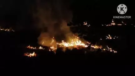 नवागढ़: खेतों में किसान जला रहे पराली, खेतों के साथ ही पर्यावरण को नुकसान, समस्या नहीं हो रही खत्म #jansamasya