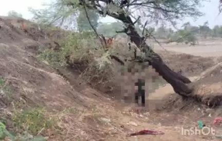 थांदला: थांदला में बायपास मार्ग पर पेड़ से लटकी मिली युवती की लाश, पुलिस जांच में जुटी
