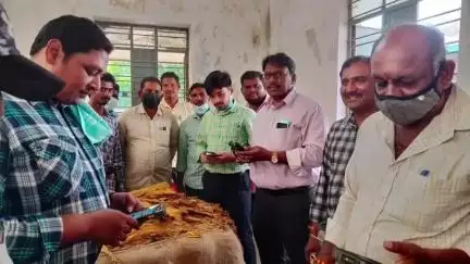 కొండపి: కొండపి పొగాకు వేలం కేంద్రంలో 622 పొగాకు బేళ్లు కొనుగోలు చేసినట్లుగా వేలం నిర్వహణ అధికారి సునీల్ కుమార్ వెల్లడి