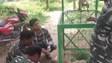 খয়রাশোল: রাজনগরে যাত্রীবাজার মোড়ে এক ব্যক্তির বাড়িতে ঢুকে পড়ল অসুস্থ হনুমান, বনদপ্তরের তৎপরতায় উদ্ধার ও চিকিৎসা