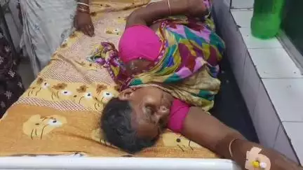 ଦେବଗଡ: ଠାକୁରପାଲି ଗ୍ରାମରେ ସର୍ପ ଦଂଶନରେ ମହିଳା ଅସୁସ୍ଥ
