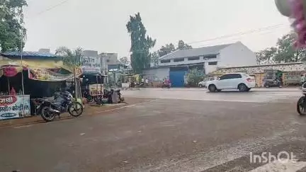 भंडारा: झरप येथे विज पडल्याने २ बैलांचा मृत्यू ; नुकसान भरपाईची पशुपालकाने केली मागणी