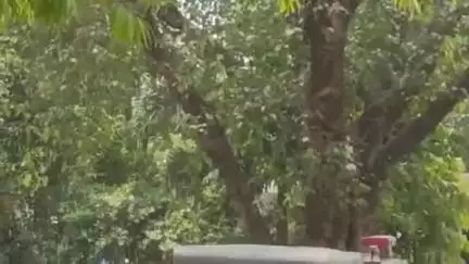 प्रतापगढ़: पिचुरा, गौरा गांव निवासी दिव्यांग व्यक्ति से अधिक ब्याज की लालच में धोखे से ₹130000 हड़पने का मुकदमा दर्ज
