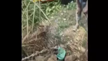बालोद: 24 घंटे से 20 फीट गहरे कुएं में फंसे बैल को गौ सेवकों ने रेस्क्यू ऑपरेशन चलाकर क्रेन से सुरक्षित निकाला