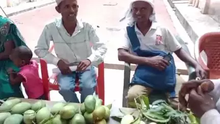 गोइलकेरा: गोइलकेरा प्रखंड कार्यालय परिसर में आम उत्सव सह बागवानी मेला का आयोजन