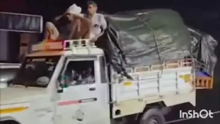 താമരശ്ശേരി: താമരശ്ശേരിയിൽ പിക്കപ്പ് വാനിന്റെ കാബിന് മുകളിൽ കയറി യുവാക്കളുടെ അപകടയാത്ര
