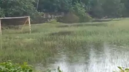 കൊല്ലം: കാവടി വയലിലെ മിനി സ്റ്റേഡിയം നിർമ്മിക്കേണ്ട സ്ഥലത്ത് ഇനി വള്ളംകളി നടത്താം #localissue