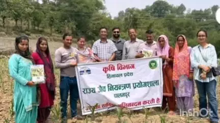 खुंडियां: कृषि विभाग ने फॉल आर्मीवर्म कीट को लेकर तहसील खुंडिया के विभिन्न गांवों के किसानों को किया जागरूक