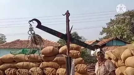गडचिरोली: गडचिरोली जिल्ह्यात ३९ खरेदी केंद्रांवर धान खरेदी सुरू,