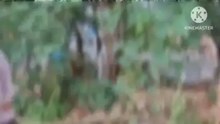 ಬೆಳಗಾವಿ: ಬೆಳಗಾವಿ ನಗರ ಫಸ್ಟ್  ರೈಲ್ವೆ ಗೇಟ್ ಬಳಿ ರೈಲ್ವೆ ಹಳಿಯ ಮೇಲೆ ಮಲಗಿ ಆತ್ಮಹತ್ಯೆಗೆ ಯತ್ನಿಸಿದ್ದ ವ್ಯಕ್ತಿ ರಕ್ಷಣೆ #localissue
