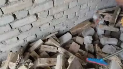 13 जून 2025 को जोधाणा स्वीट के गोदाम में आया कोबरा सांप दिव्या जैन ने रेस्क्यू किया