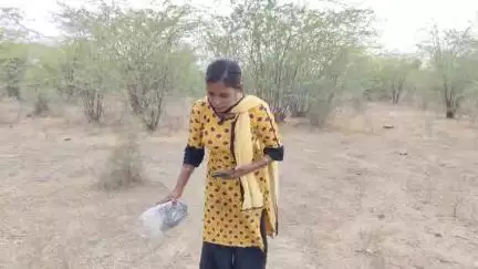 13 जून 2025 को जोधाणा स्वीट के गोदाम में आया कोबरा सांप दिव्या जैन ने रेस्क्यू किया