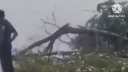 দেৰগাঁও: দেৰগাঁৱ চুপাৰ মাৰ্কেটৰ সমীপত  ধুমুহাৰ ফলত প্ৰকাণ্ড গছ বাগৰি ৩৭ নং ৰাষ্ট্ৰীয় ঘাইপথ বন্ধ,ব্যাহত যান বাহন