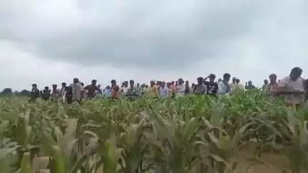 शाहपुरा: ग्राम दलपतपुर घाट नर्मदा नदी किनारे मिला नवजात शिशु का शव, भेड़ाघाट थाना क्षेत्र में मामला दर्ज