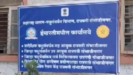 ग्लँडर्स रोगाचा संसर्ग लातूर येथे घोड्याला आढळला छत्रपती संभाजी नगरची शहराची पशुसंवर्धन विभाग अलर्ट