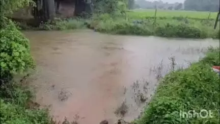പട്ടാമ്പി: കോഴിക്കാട്ടിരി പാലത്തിന് സമീപം തോട്ടിൽ ലോട്ടറി വിൽപന തൊഴിലാളിയുടെ മൃതദേഹം കണ്ടെത്തി