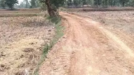 कटंगी: अर्जुननाला में भू-माफिया कर रहा अवैध प्लाटिंग, किसान के खेत में बना दी कच्ची सड़क