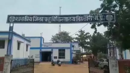 डिंडौरी: गाड़ासरई पशु चिकित्सालय में 2 साल से डॉक्टर नहीं, स्टाफ की मनमानी से जनता परेशान
