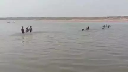 बाह: भगवानपुरा गांव में चंबल नदी में मगरमच्छ के हमले से एक महिला की मौत