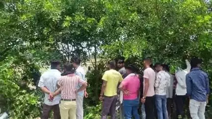 सिरसागंज: सोथरा रोड पर एचपी पेट्रोल पंप के सामने सड़क के किनारे संदिग्ध हालात में पेड़ पर लटका मिला युवती का शव, मचा हड़कंप