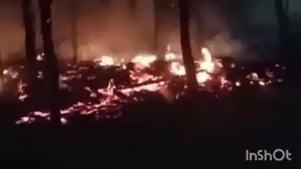 मितौली: मितौली थाना क्षेत्र के पिपरझला में वन विभाग के बंगले में किसी अज्ञात व्यक्ति द्वारा लगाई गई आग
