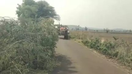 कळमनूरी: आ. बाळापुर ते बोल्डा राज्य रस्त्यावर पोत्रा शिवारात वादळी वाऱ्याने रस्त्यावर झाडे पडली,झाडे हटवण्याची नागरिकांची मागणी