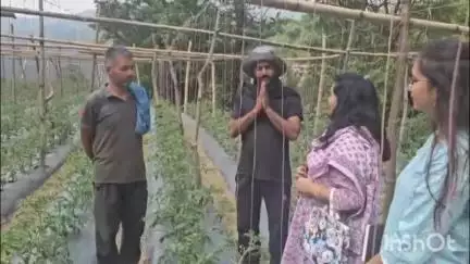 कंडाघाट: विकसित कृषि संकल्प यात्रा के दौरान KVK कंडाघाट के वैज्ञानिकों ने पलहेच गांव में किसानों के खेतों का किया दौरा