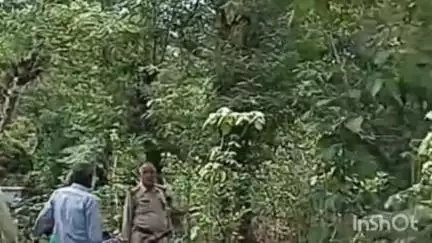 रामसनेही घाट: दो दिन पहले दवा लेने निकली महिला का रामसनेहीघाट थाना क्षेत्र के ठठेरहा जंगल से मिला शव, पुलिस जांच में जुटी