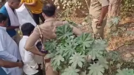बाह: बसई अरेला में संदिग्ध हालत में मजदूर का फंदे पर लटका मिला शव, हत्या की जताई गई आशंका