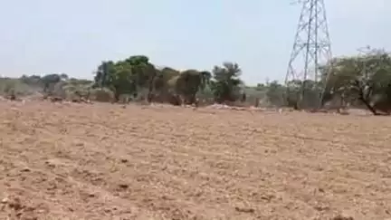 भोपालगढ़: सादों की ढाणी बोरुन्दा में लगी आग, खेतों में पड़ी लकड़ियां जलकर हुई राख, पीपाड़ सिटी से अग्निशमन दमकल ने पाया आग पर काबू